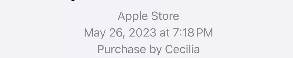 AirPods Max Silver 6M22