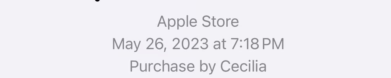 AirPods Max Silver 6M22