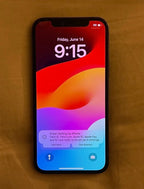 Apple iPhone 12 Pro - 128 GB - Graphite (Unlocked) (Dual SIM (SIM + eSIM)) 6N15