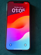 Apple iPhone 12 Pro Max 256 GB in Pacific Blue for Unlocked 3D88