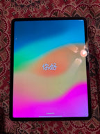 Apple iPad Pro 12.9 inch (2021) 1D21