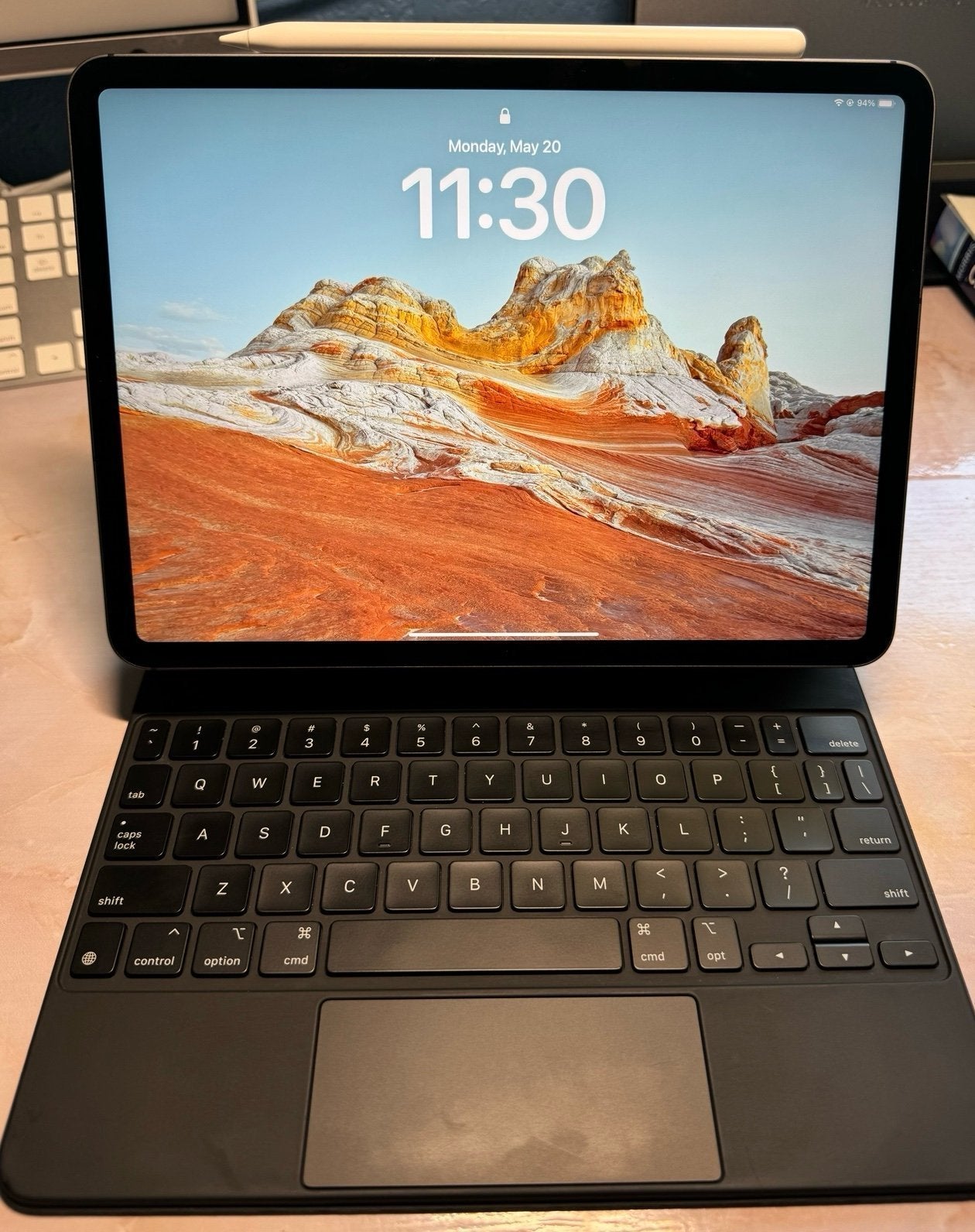 iPad Pro 2nd generation Space Gray 256 GB (celluar) --read 1O66