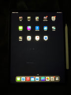 Apple iPad Pro 4th Generation 1S98