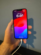 Apple iPhone 13 Pro 128 GB Graphite UNLOCKED 9W72