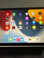 Apple iPad mini 7W61