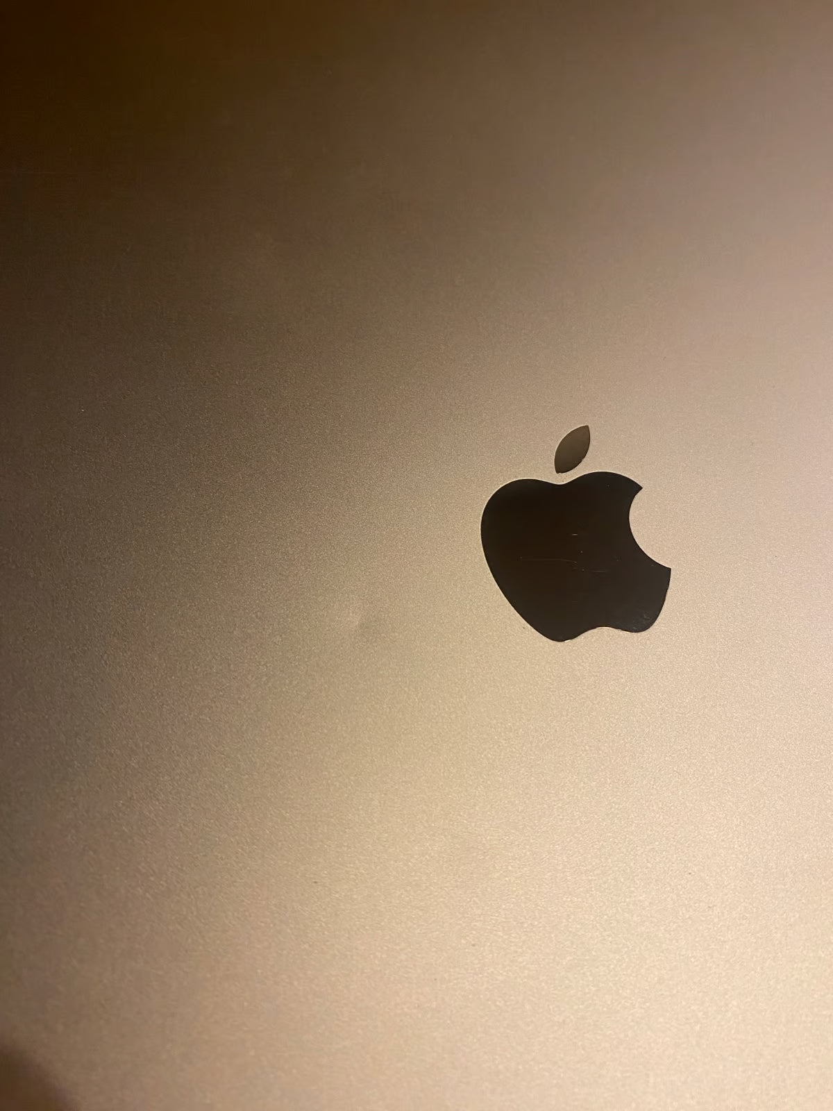 Apple iPad Pro 2nd Generation 256 GB in Rose Gold 3T53