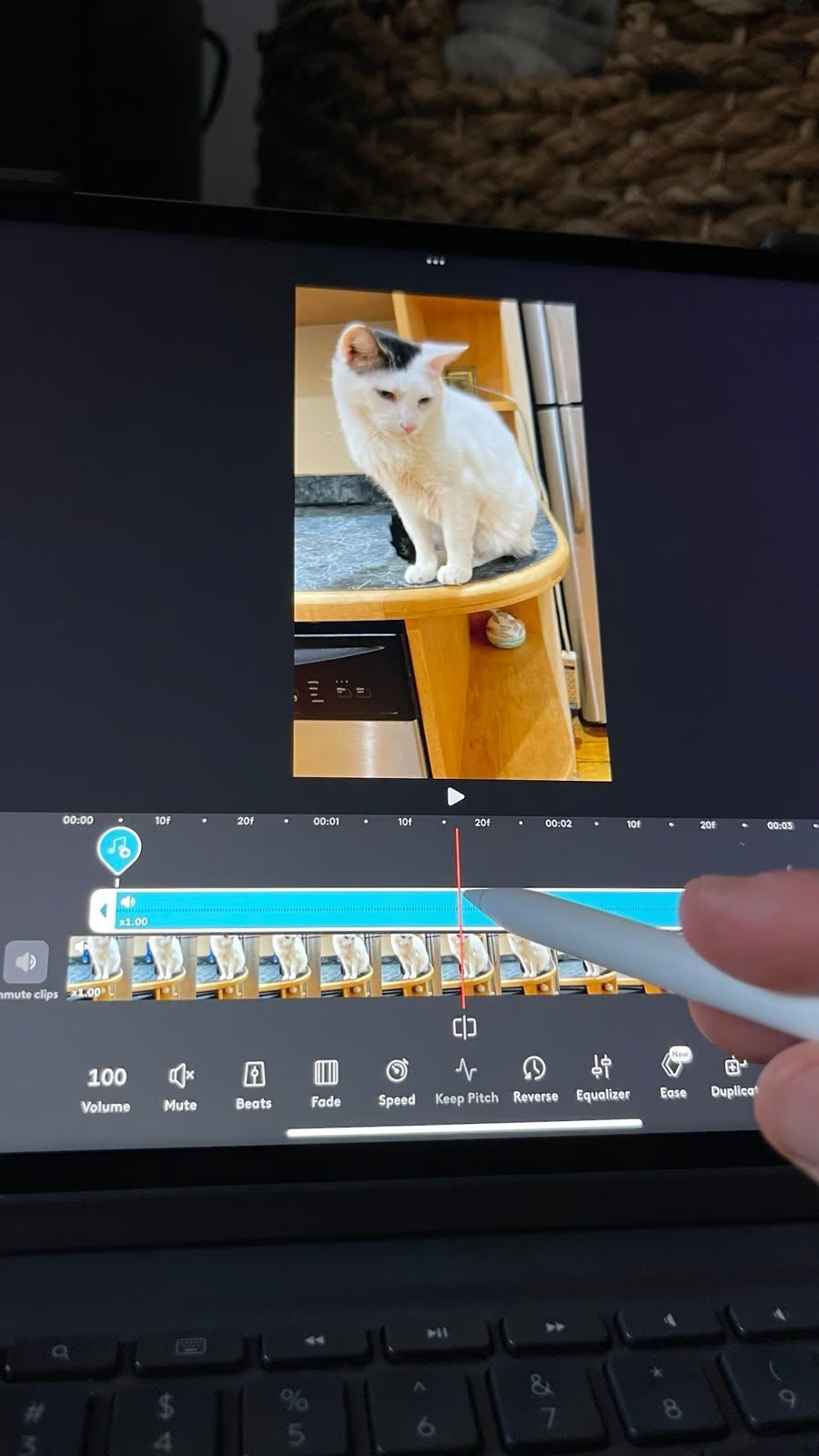 iPad Pro (12.9-inch) (6th generation) 512GB +Cellular 8E33