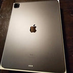 Apple iPad Pro 12.9 inch 5th Generation 256 GB in Space Gray - Flawless 1W31