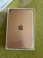 ipad mini 2E36