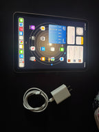 APPLE iPAD AIR 4TH GEN 256GB 5G CELLULAR + WIFI ROSE GOLD 8G95