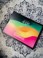 Apple iPad Pro 11"" 1st Gen A2013 256GB WiFi + Cell Tablet Space Gray-Excellent 5L11