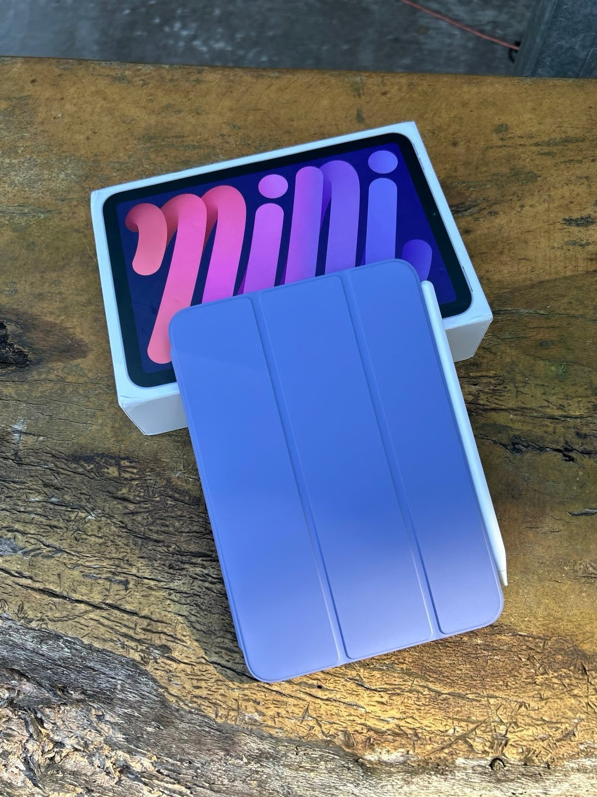 The Cutest IPad Mini 2A12