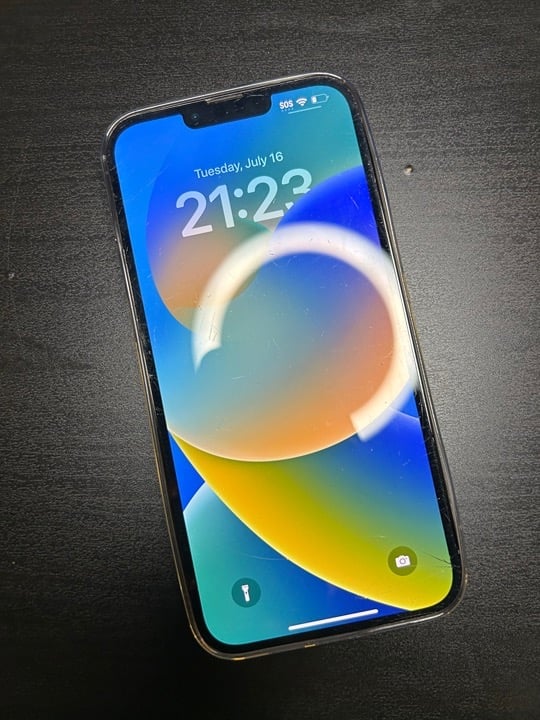 Apple iPhone 13 Pro Max 128 GB in Graphite for Unlocked 9B13