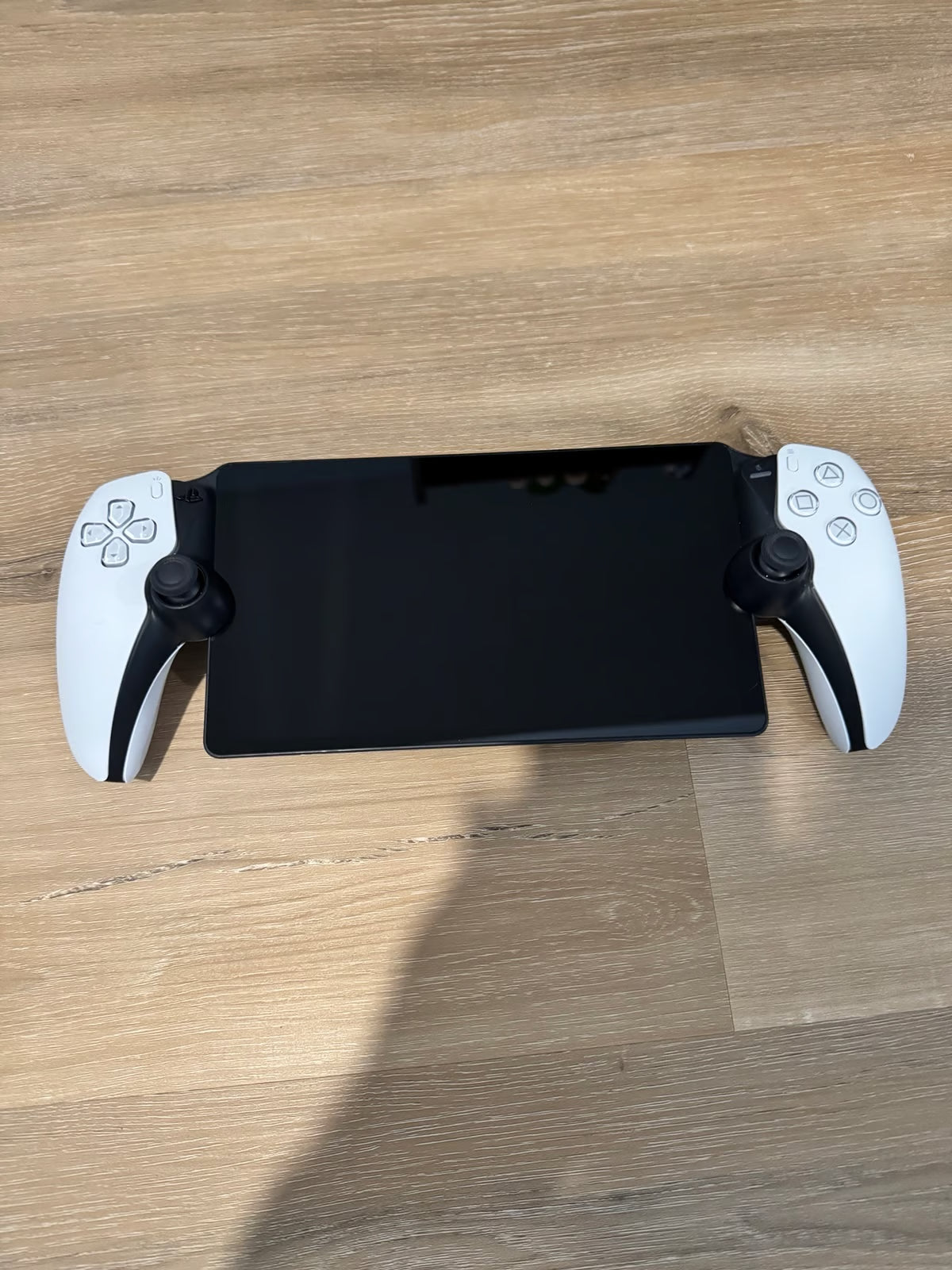 PlayStation Portal 1F66