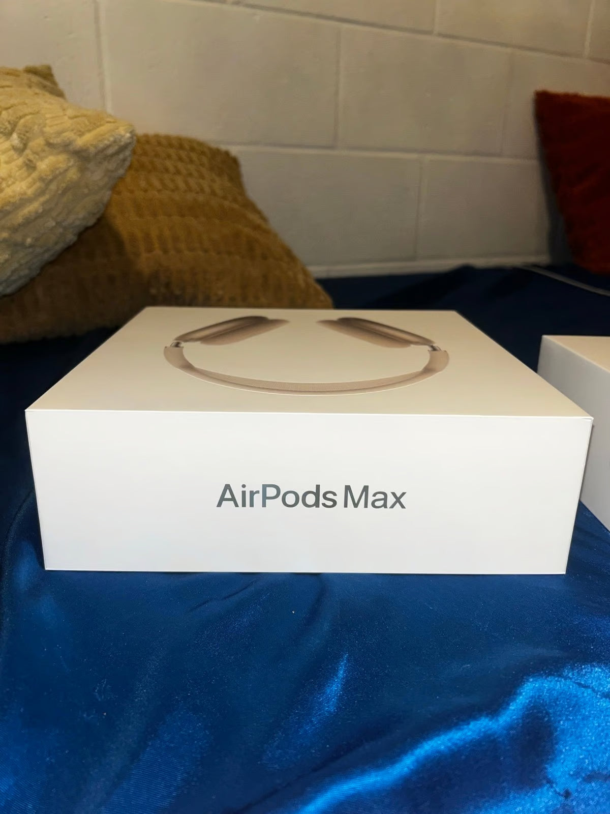 AirPods Max 7F87