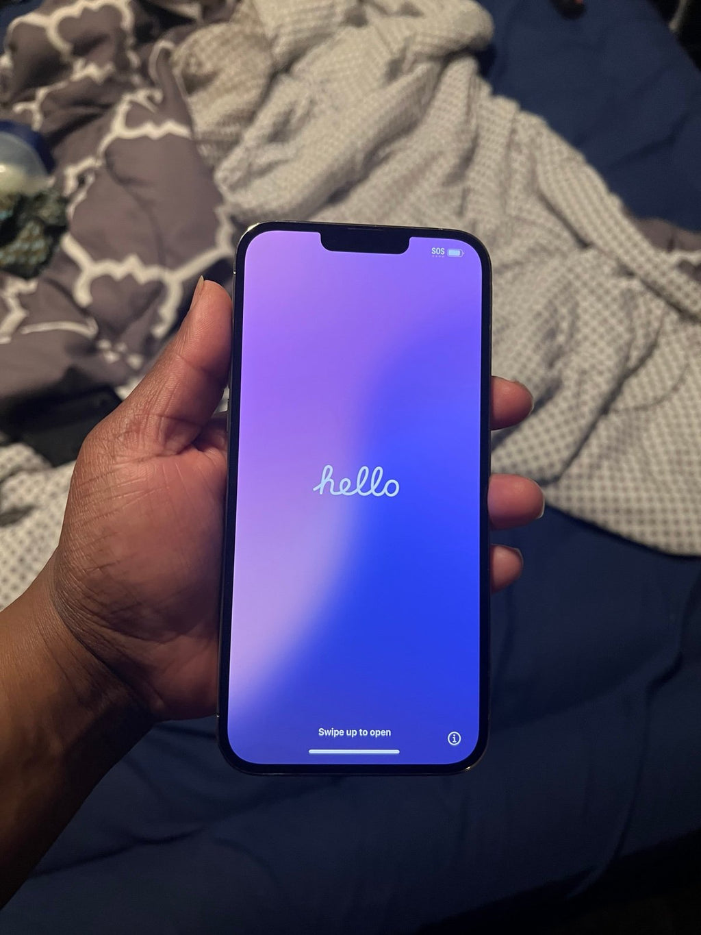 iPhone 13 Pro Max 256GB Unlocked 8S88