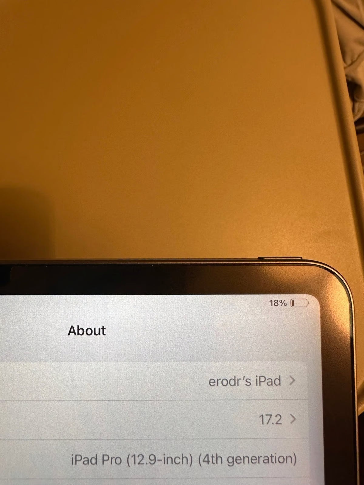 iPad Pro 12.9 4th gen - 256 Gb - WiFi 1T77