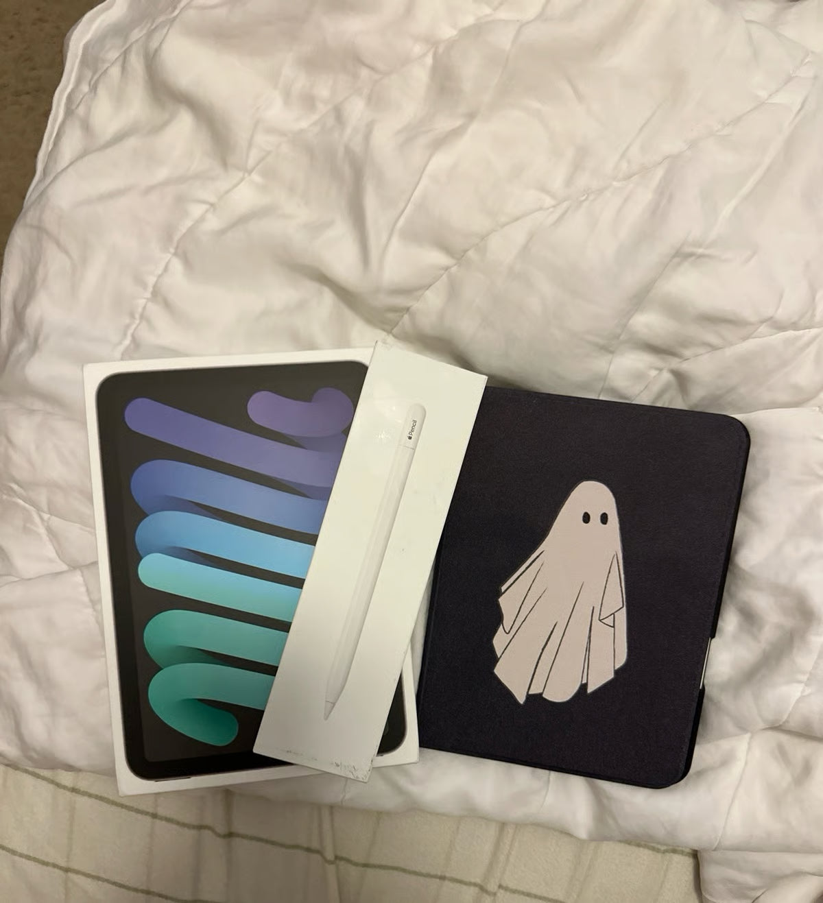 iPad Mini 6th Generation and Apple Pencil 3Y66