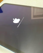 Apple iPad Air 4th Generation 64 GB 3P38