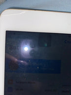 iPad mini 3rd generation Gold 64 GB 3V27