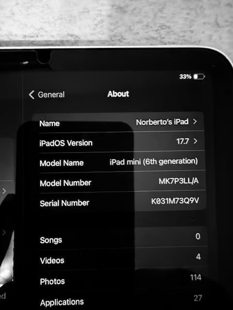 Apple ipad mini 6th generation 1P56