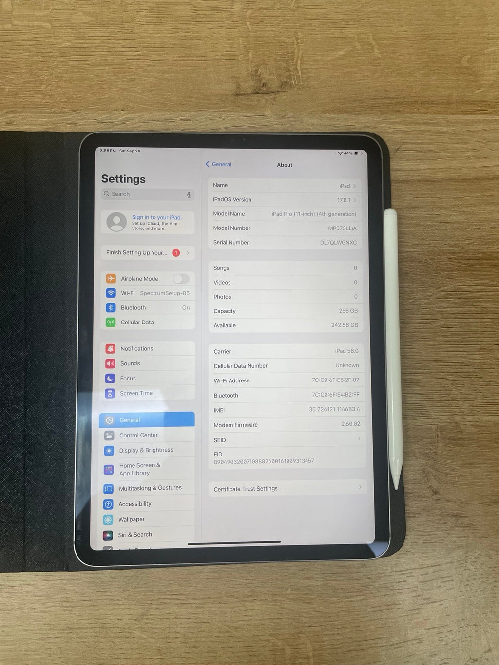 iPad Pro 4th gen 256 gb WiFi + cellular (unlocked) 11 inch 9T58