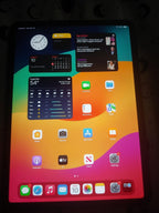 iPad Pro 11 (3rd Gen) 128GB 8N56