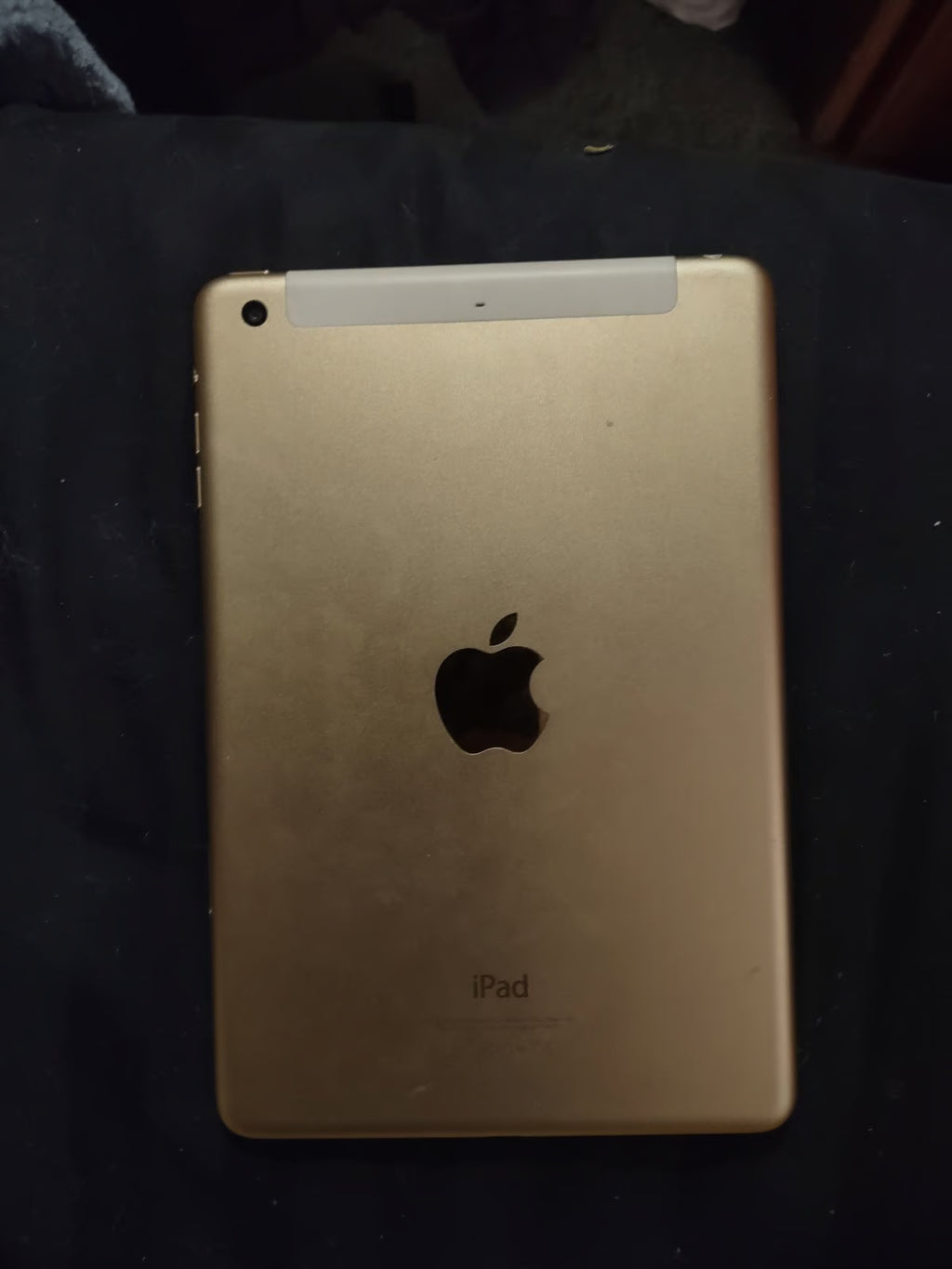 Apple iPad mini 64gb Unlocked 9K73