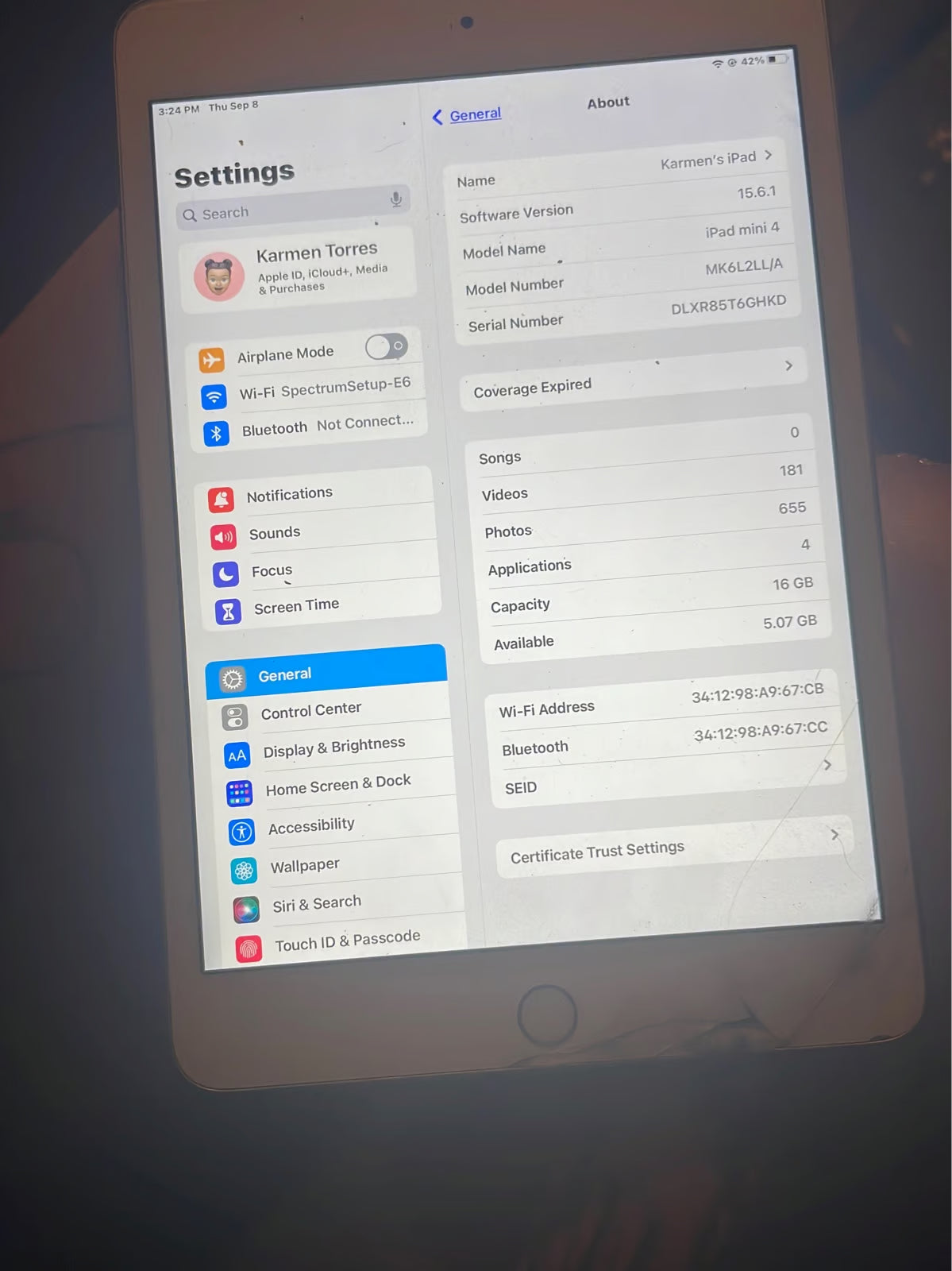 Apple iPad Mini 4th Generation rose gold 6Y13