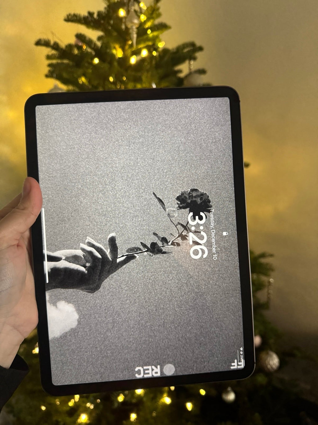 iPad Pro 2Q88
