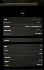 iPad Pro (12.9-inch) (6th generation) 512GB +Cellular 8E33