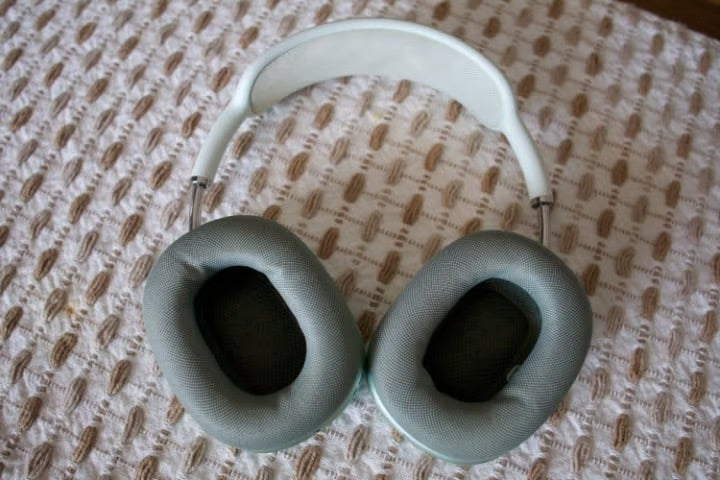 Apple AirPods Max with Smart Case in Green 8P66