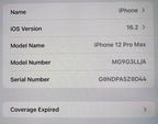 Apple iPhone 12 Pro Max 256 GB 1H73