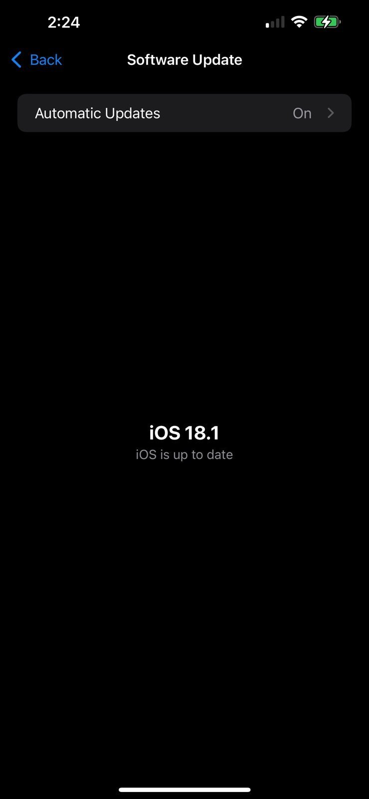 Apple iPhone 13 Pro Max 1H99