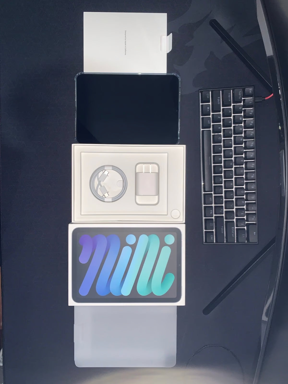 iPad Mini 256GB w/ AppleCare+ 3J92