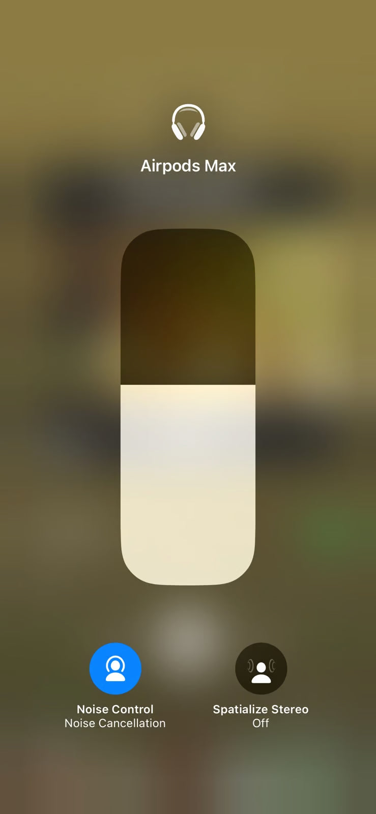 Apple AirPods Max with Smart Case in silver 1Q93