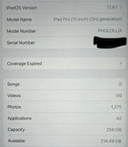 256 gb Space Gray iPad Pro 11 inch WiFi 6S95