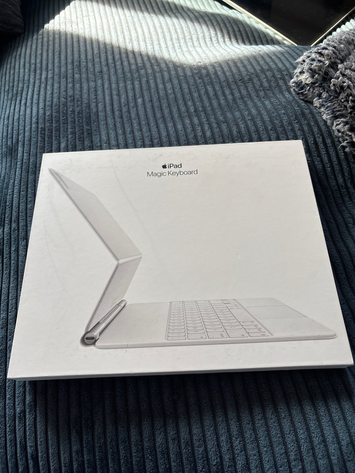 Apple iPad Pro 5th Generation 12.9 inch 256 GB in silver with Magic Keyboard 9F28