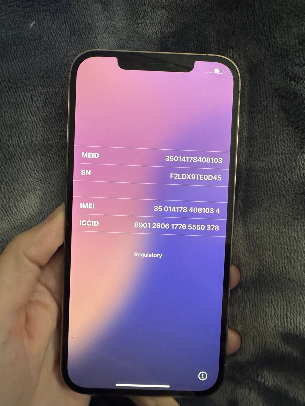 Apple iPhone 12 Pro Max 2L17