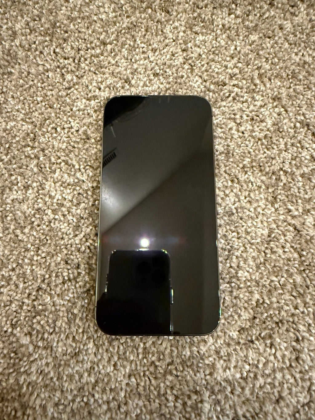 iPhone 13 Pro Max 128 GB (Unlocked) 6Y93