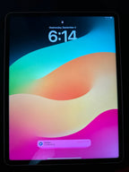 iPad Pro 12.9 inch 5th generation 9T75