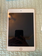 iPad mini 1G13