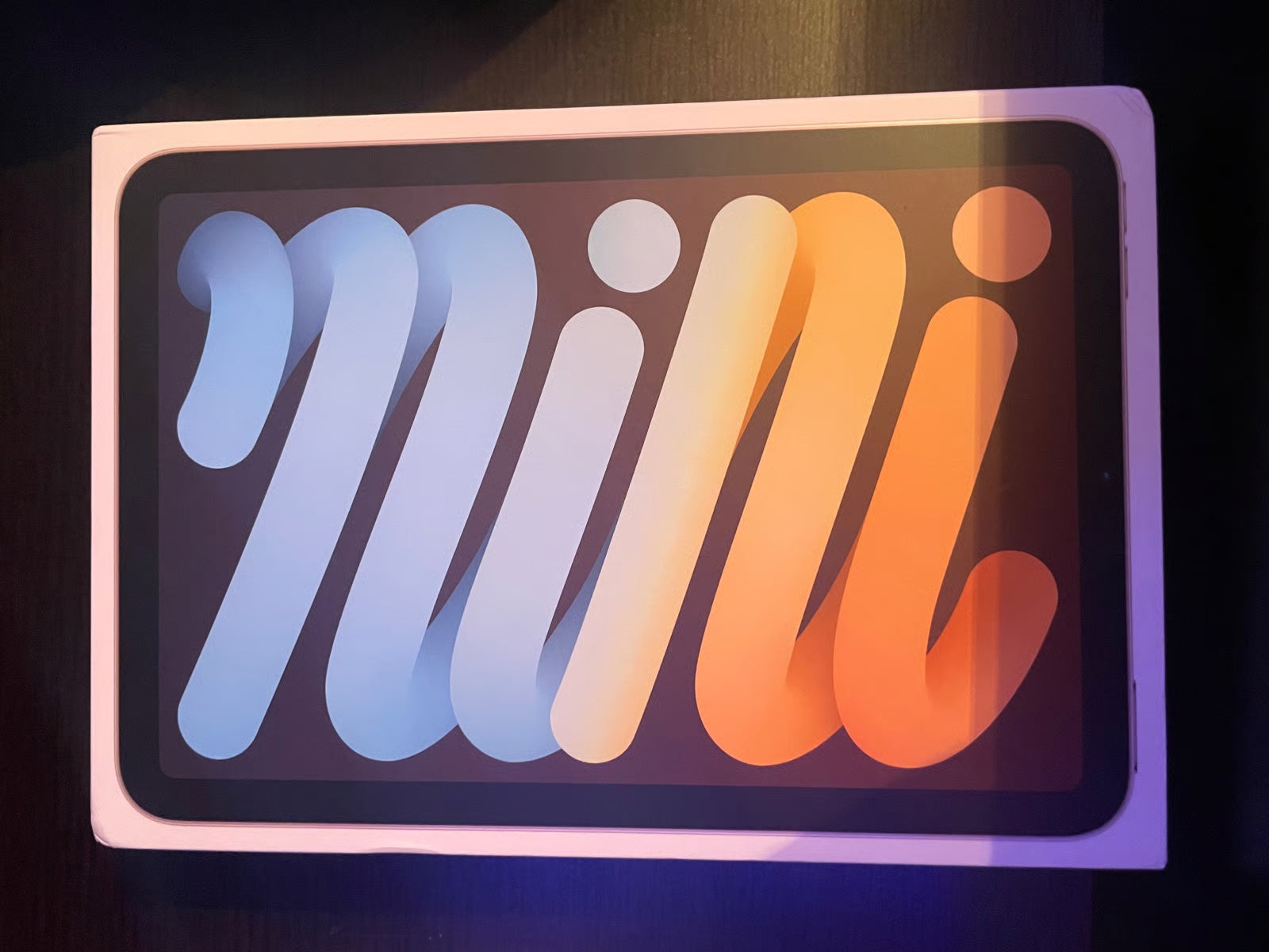 Apple iPad Mini 6th Generation 256 GB 3O87