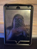 Apple iPad Mini 4th Generation 1C92