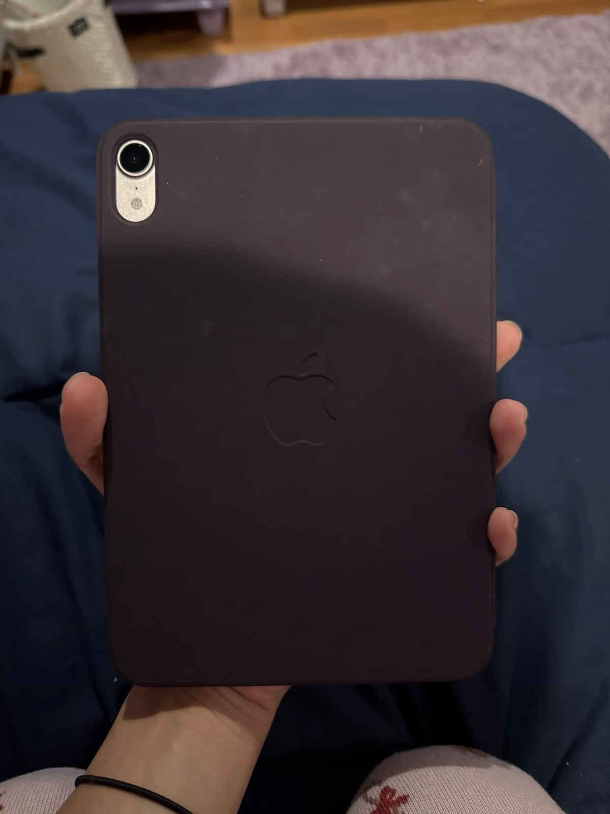 iPad mini 6th generation 3V86