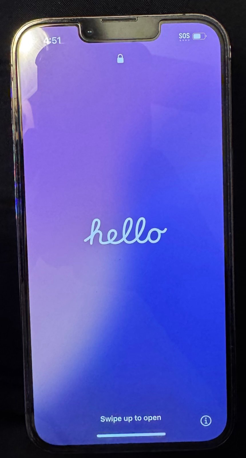 iPhone 13 Pro unlocked 256GB battery life 100% 8T39