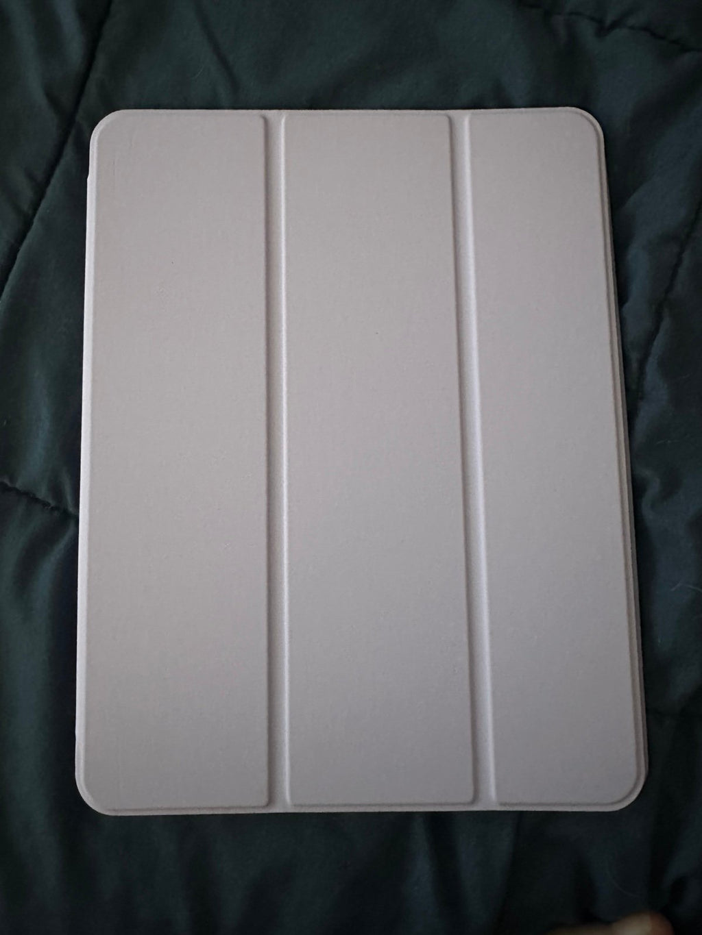 iPad Pro 2TB 8P87