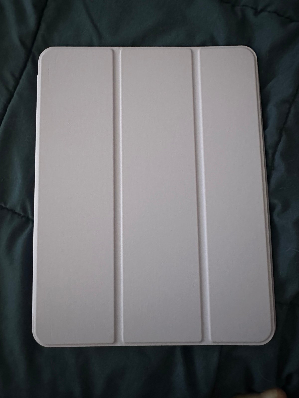 iPad Pro 2TB 8P87