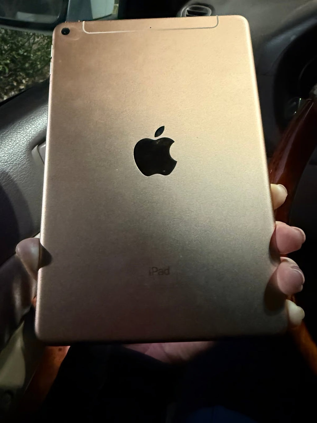 Apple IPad mini 5th gen 256gb cellular WiFi 7C55