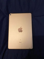 iPad mini rose gold 5S85